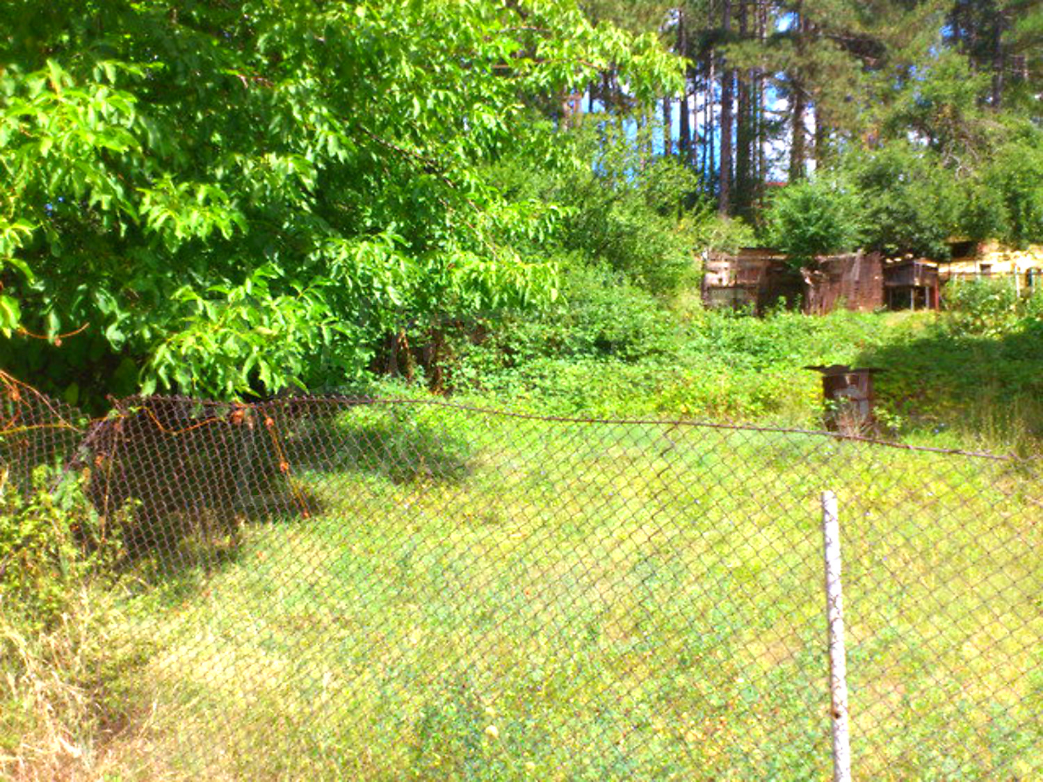 outside, garden, green area