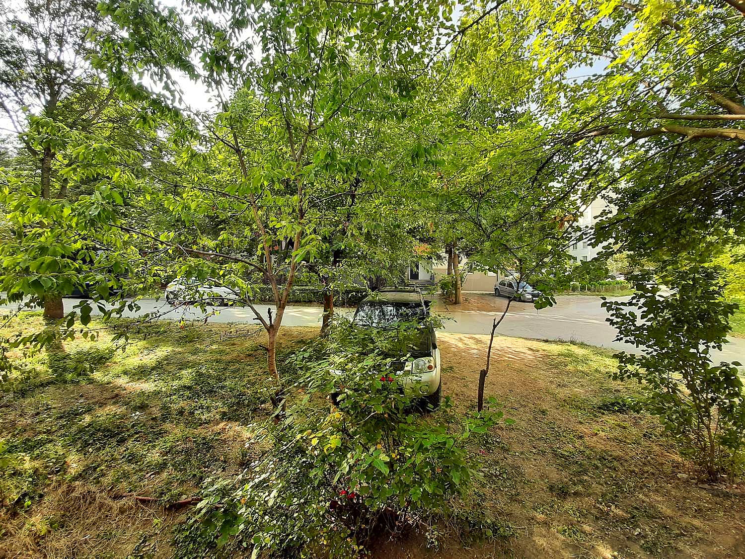 outside, garden, green area