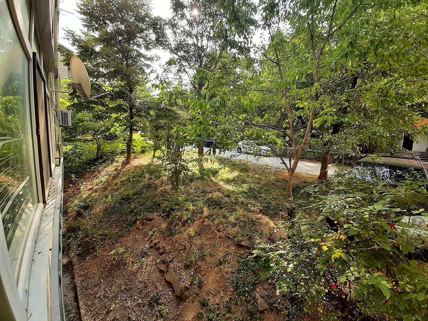 outside, green area