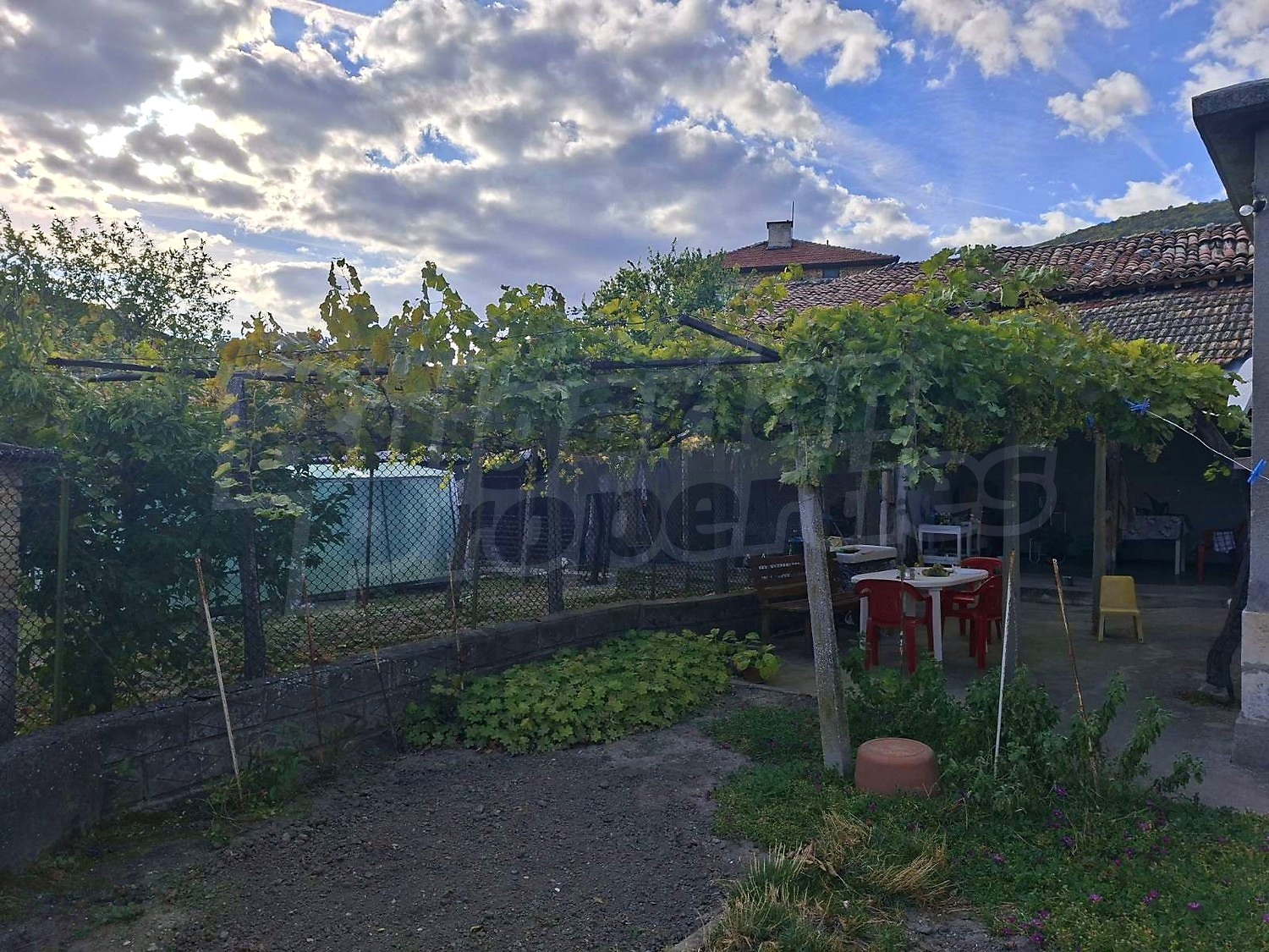 outside, garden