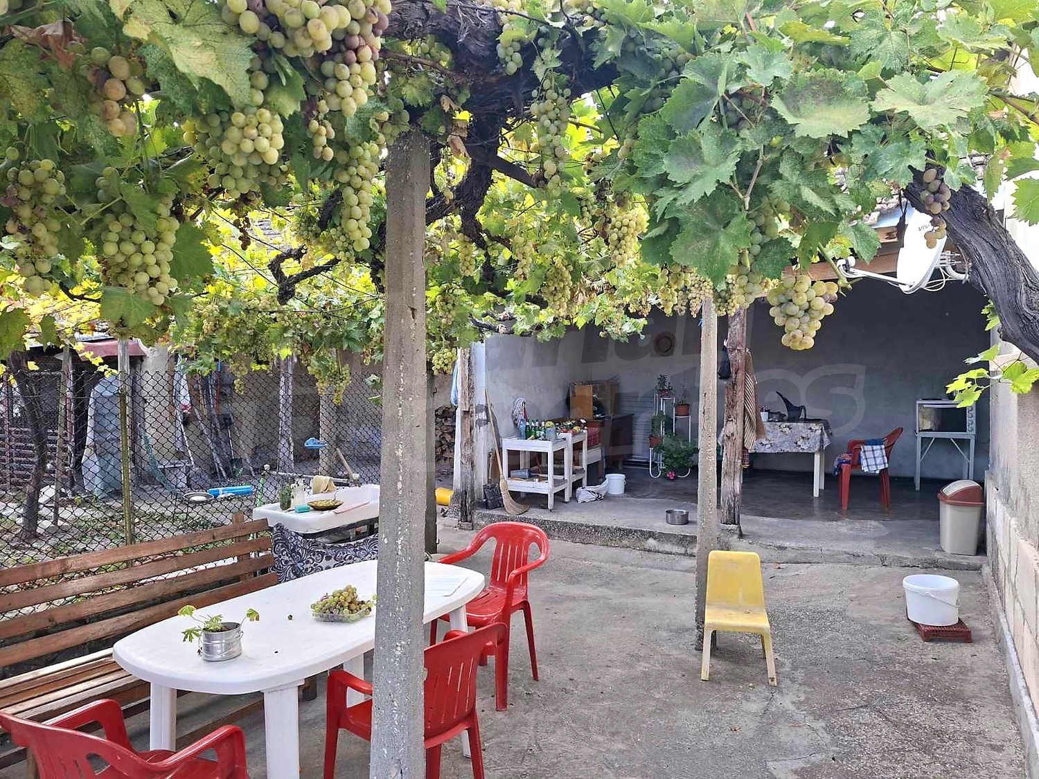 outside, garden