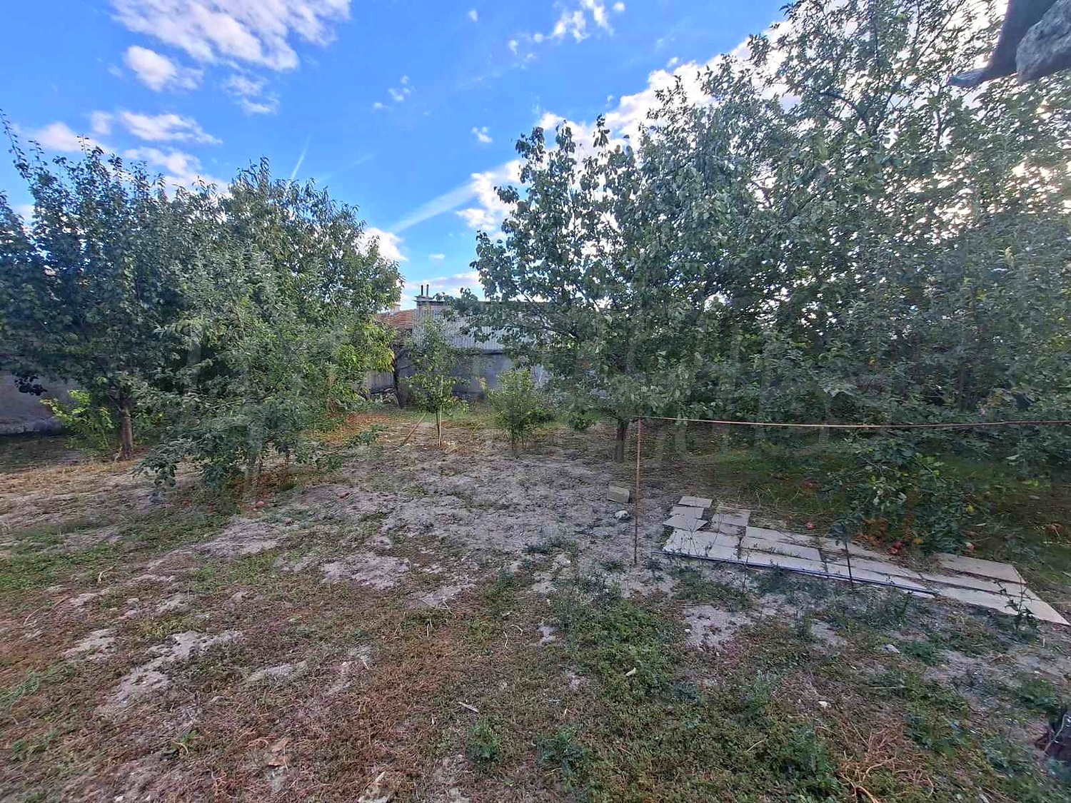 outside, garden, green area