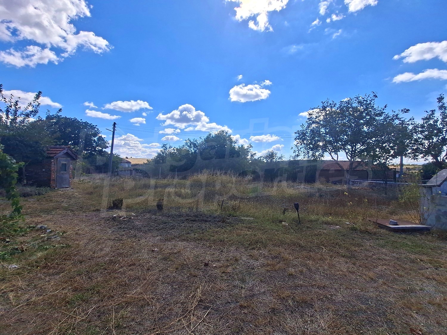 outside, garden
