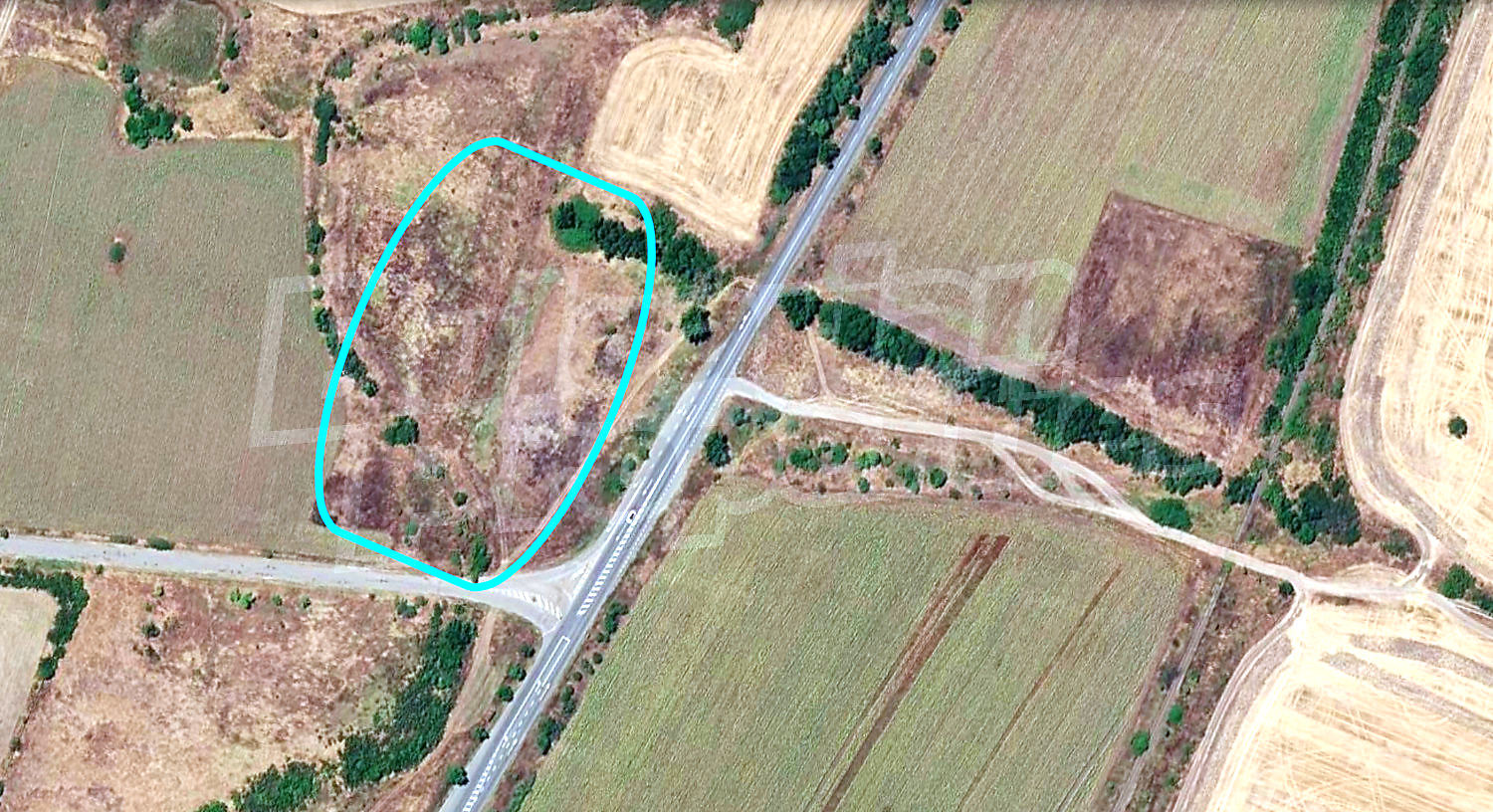 outside, green area