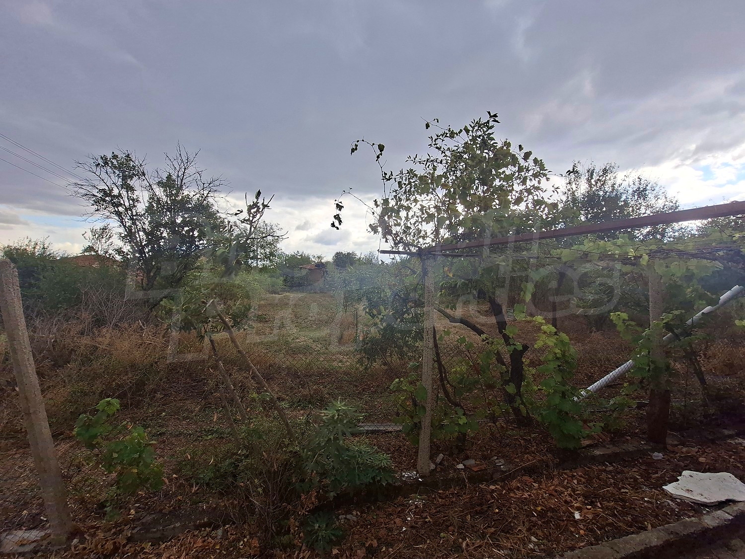 outside, garden