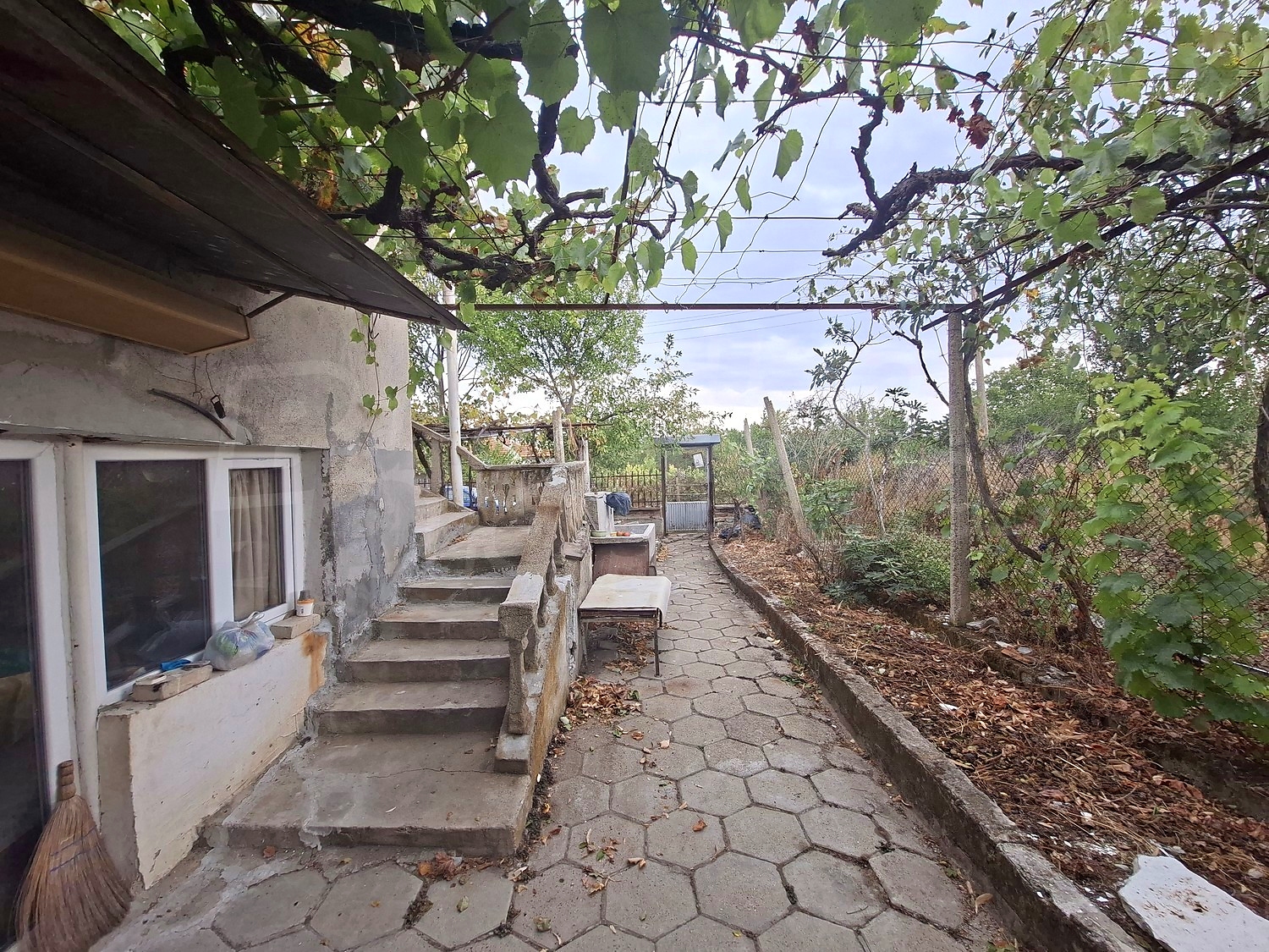 outside, garden