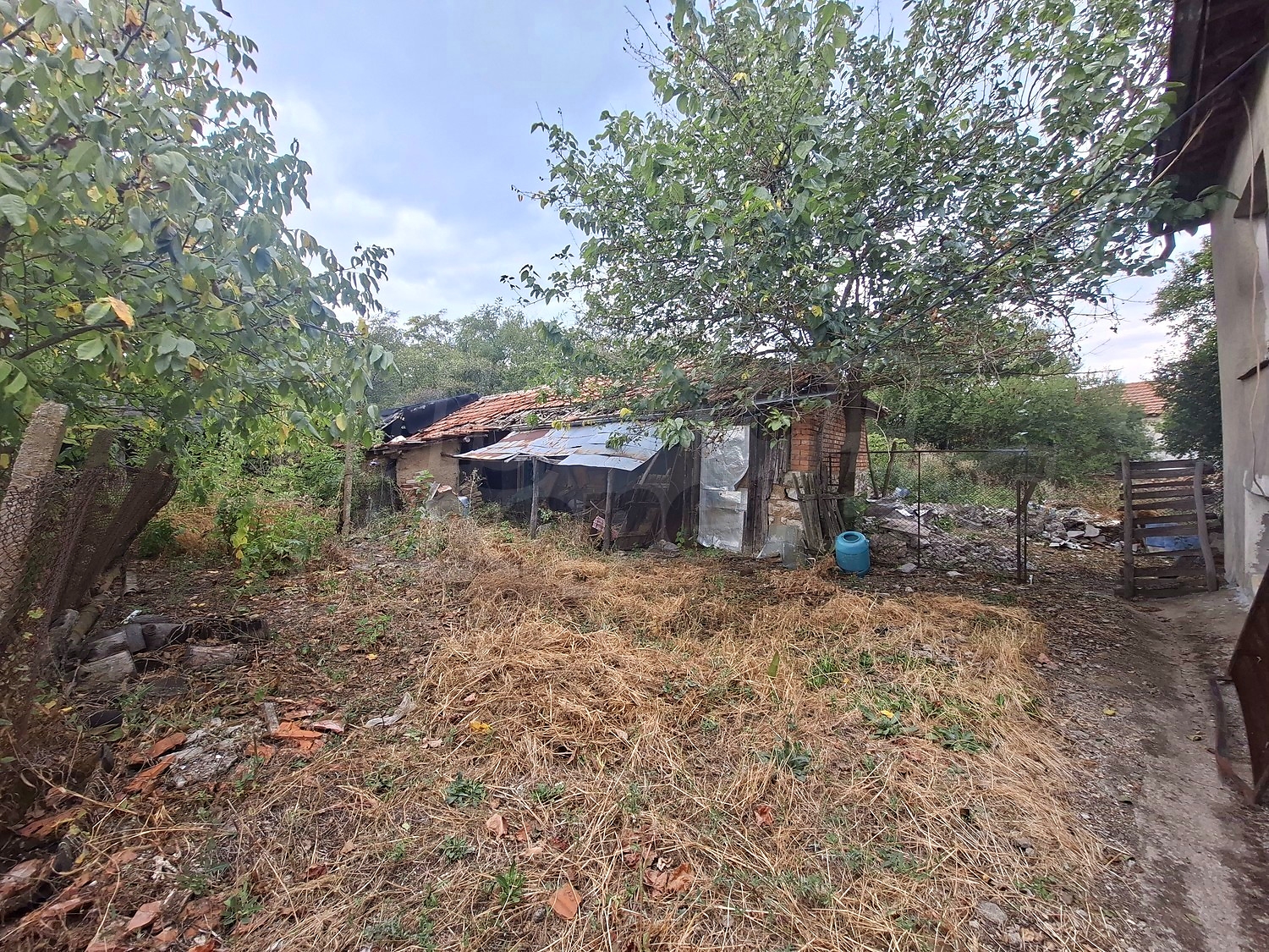 outside, garden, green area