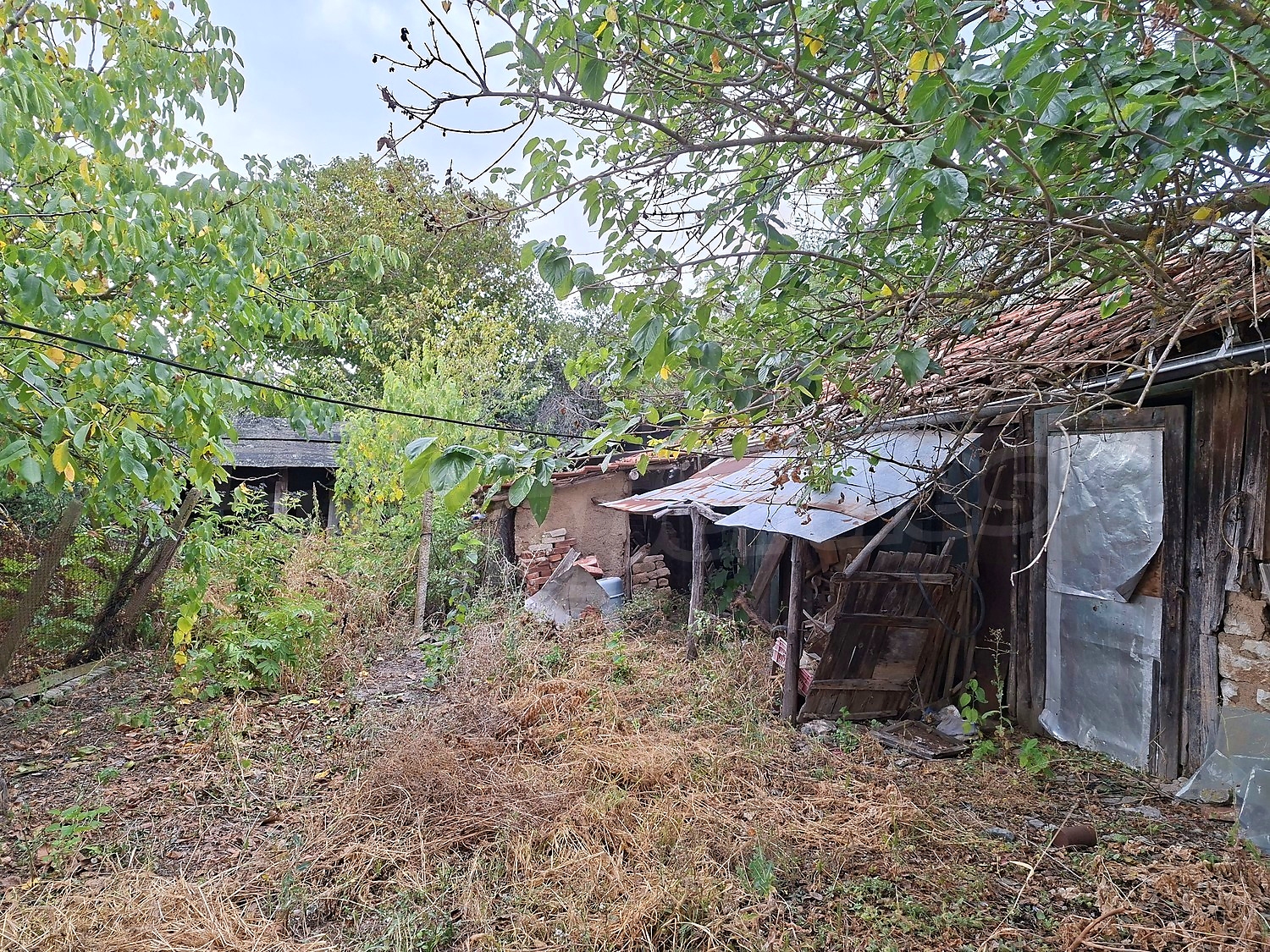 outside, garden