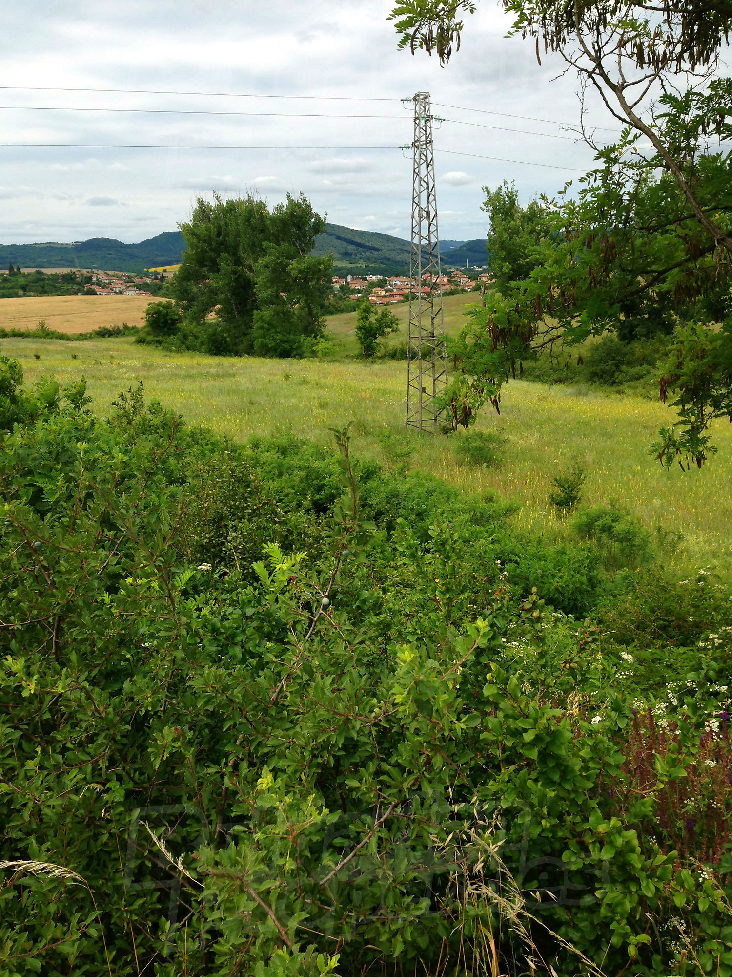 outside, green area, mountain