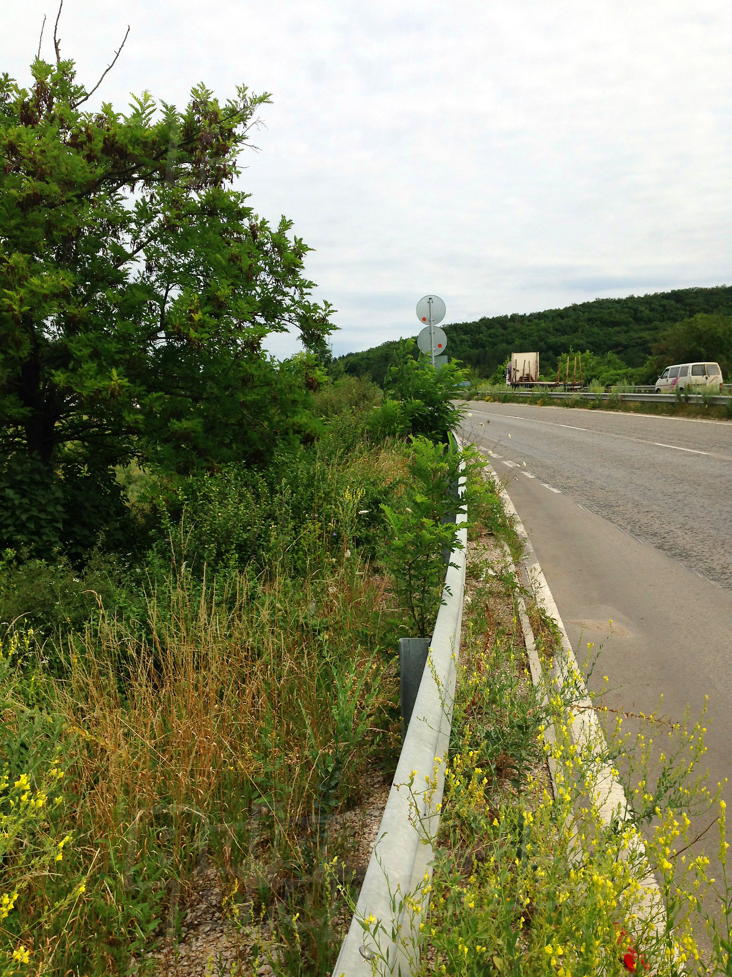 outside, green area