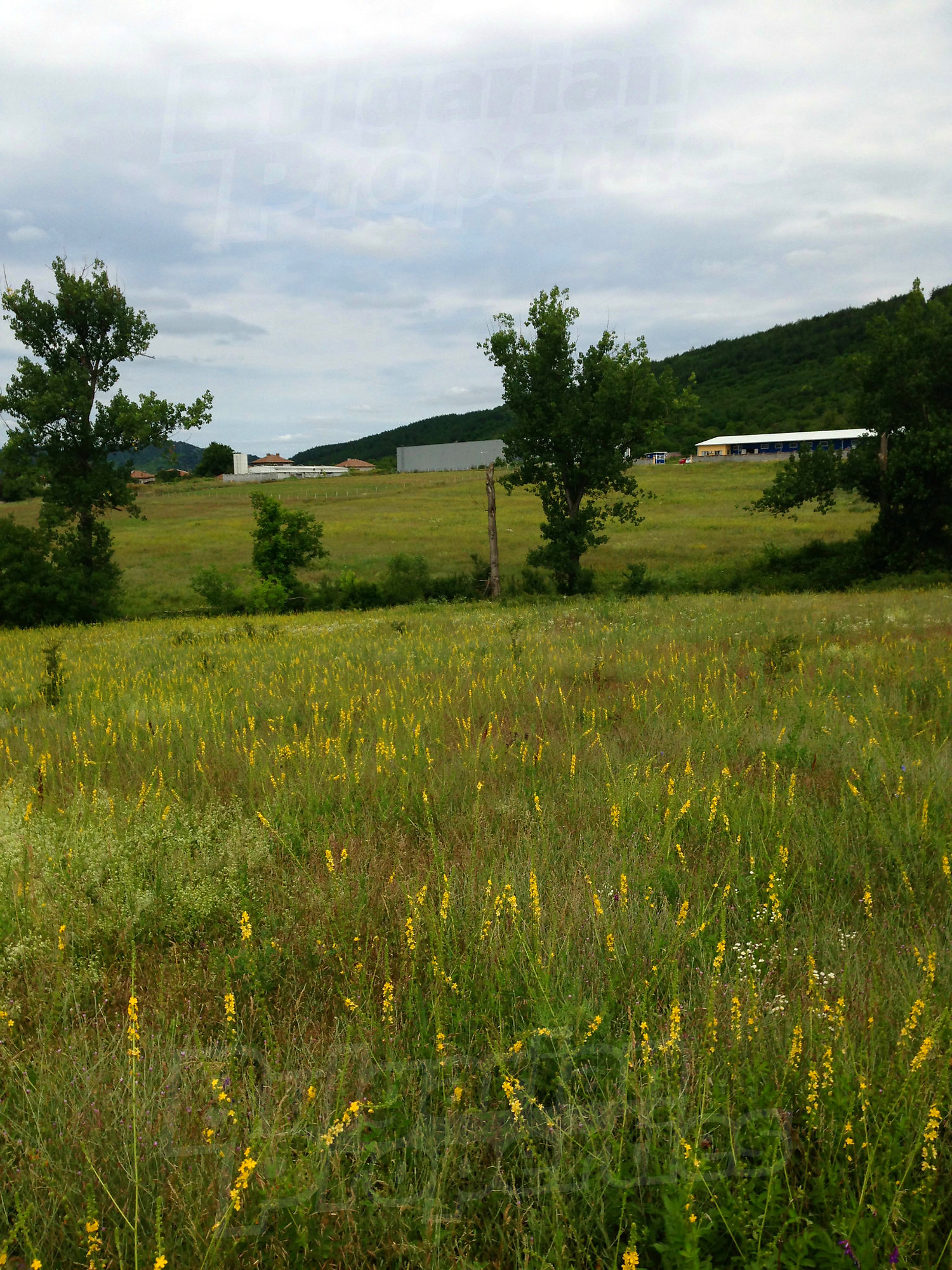 outside, green area