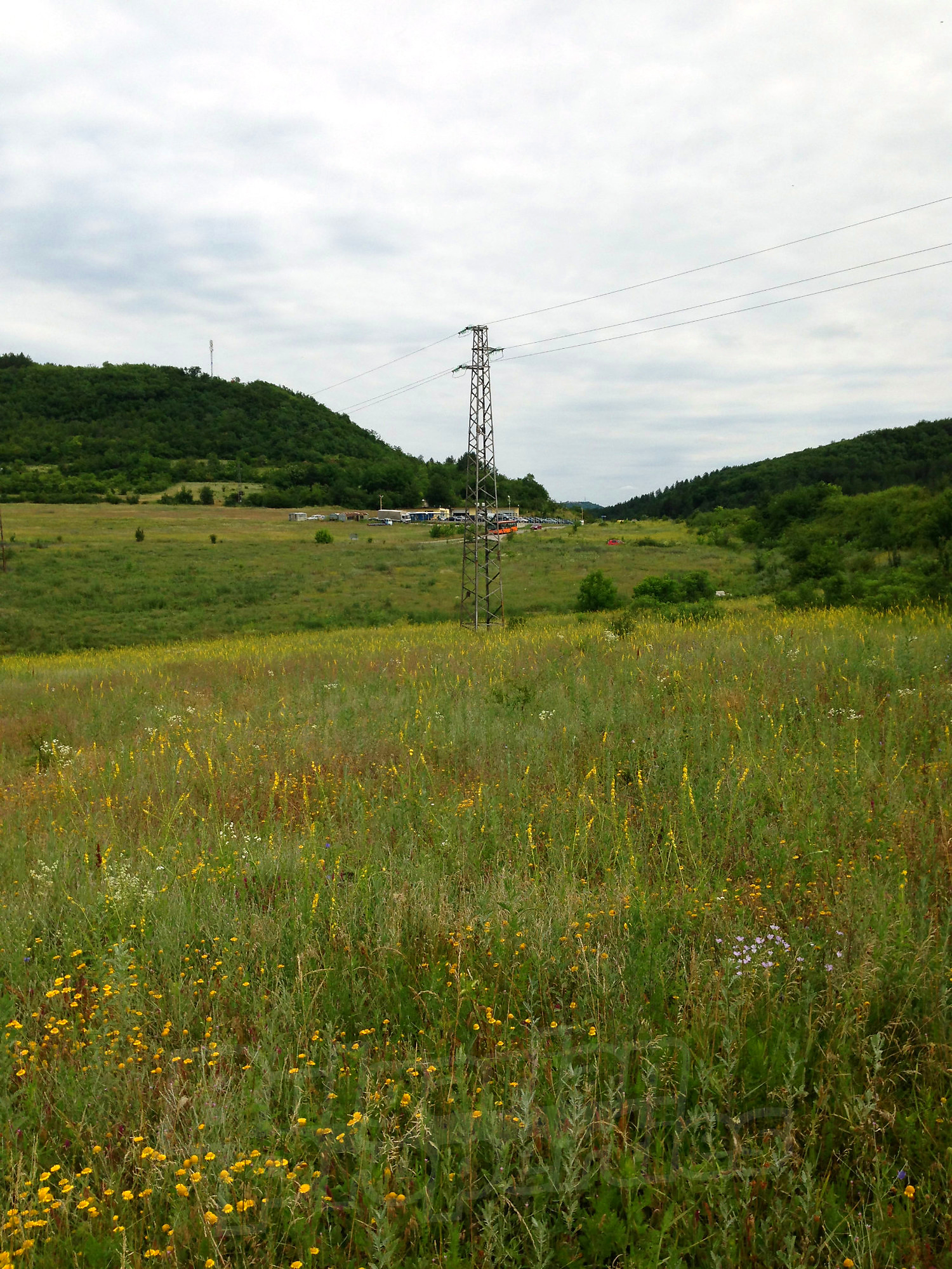 outside, green area, mountain