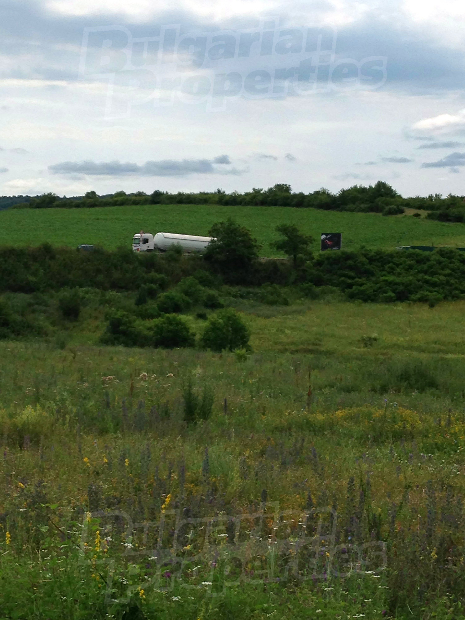outside, green area