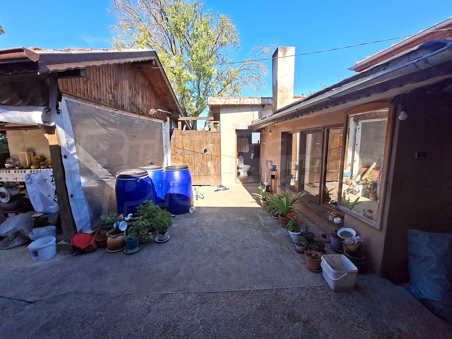 outside, garden