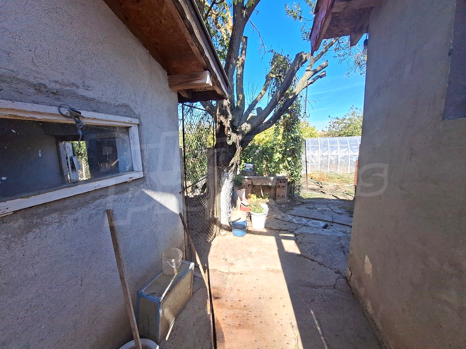 outside, garden