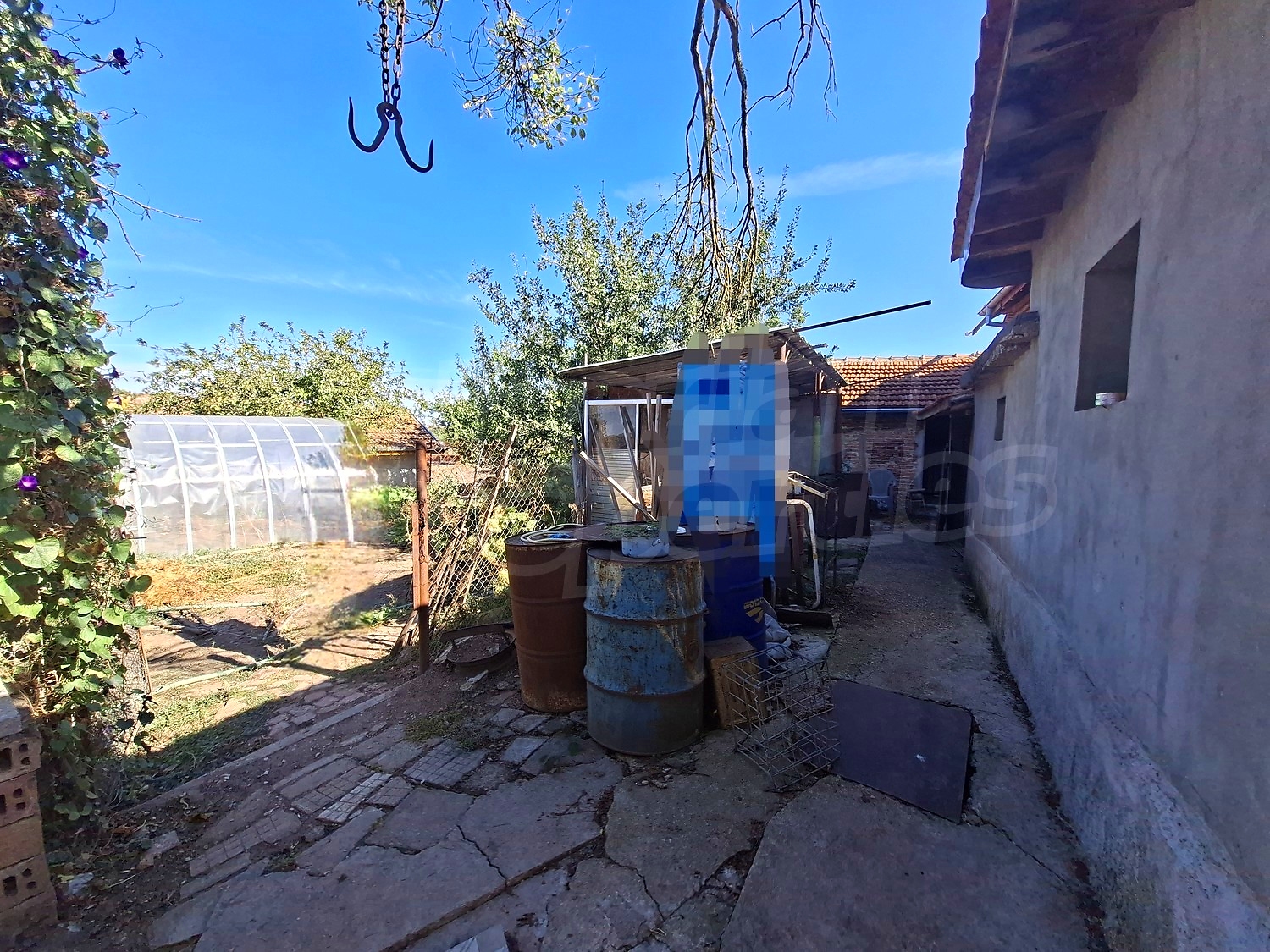 outside, garden