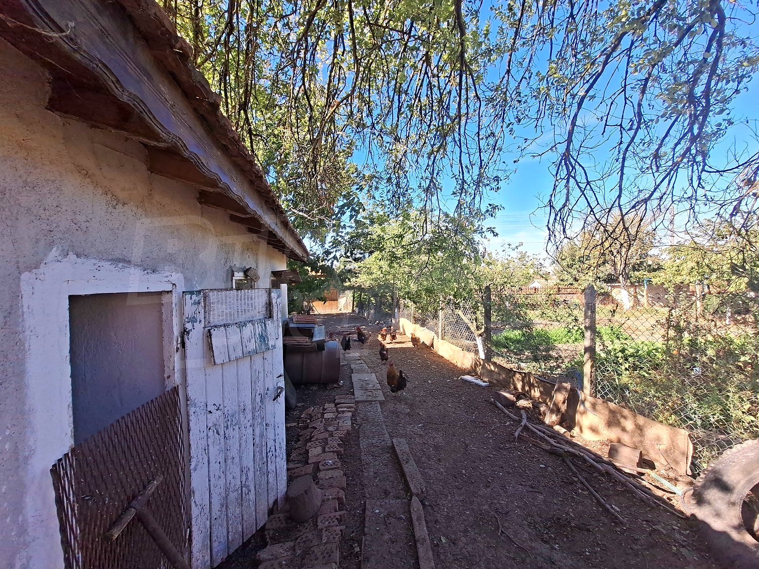 outside, garden