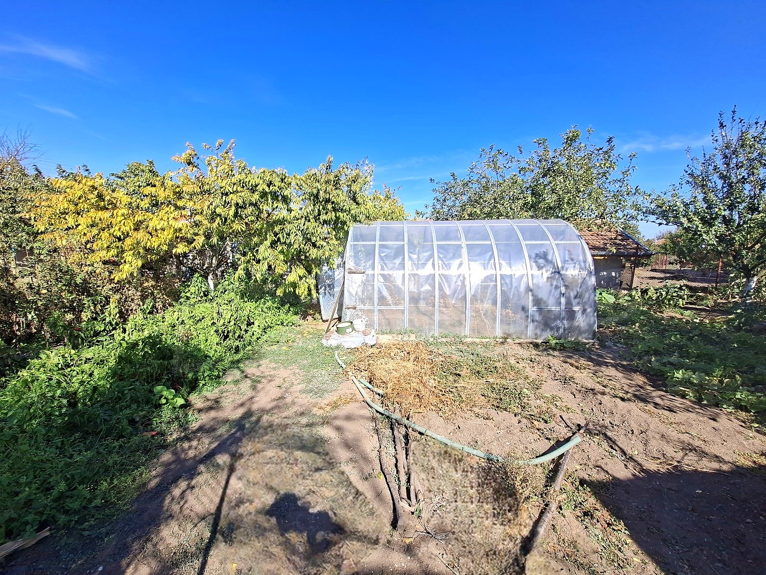 garden, outside, green area