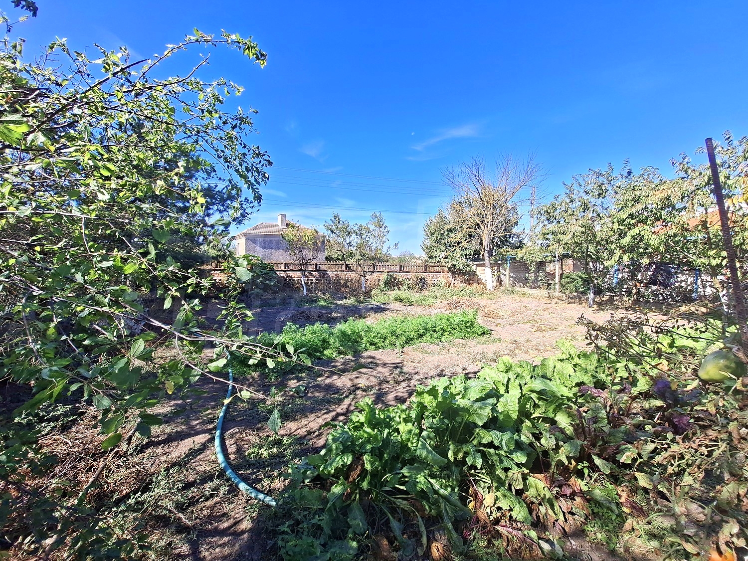 garden, outside, green area