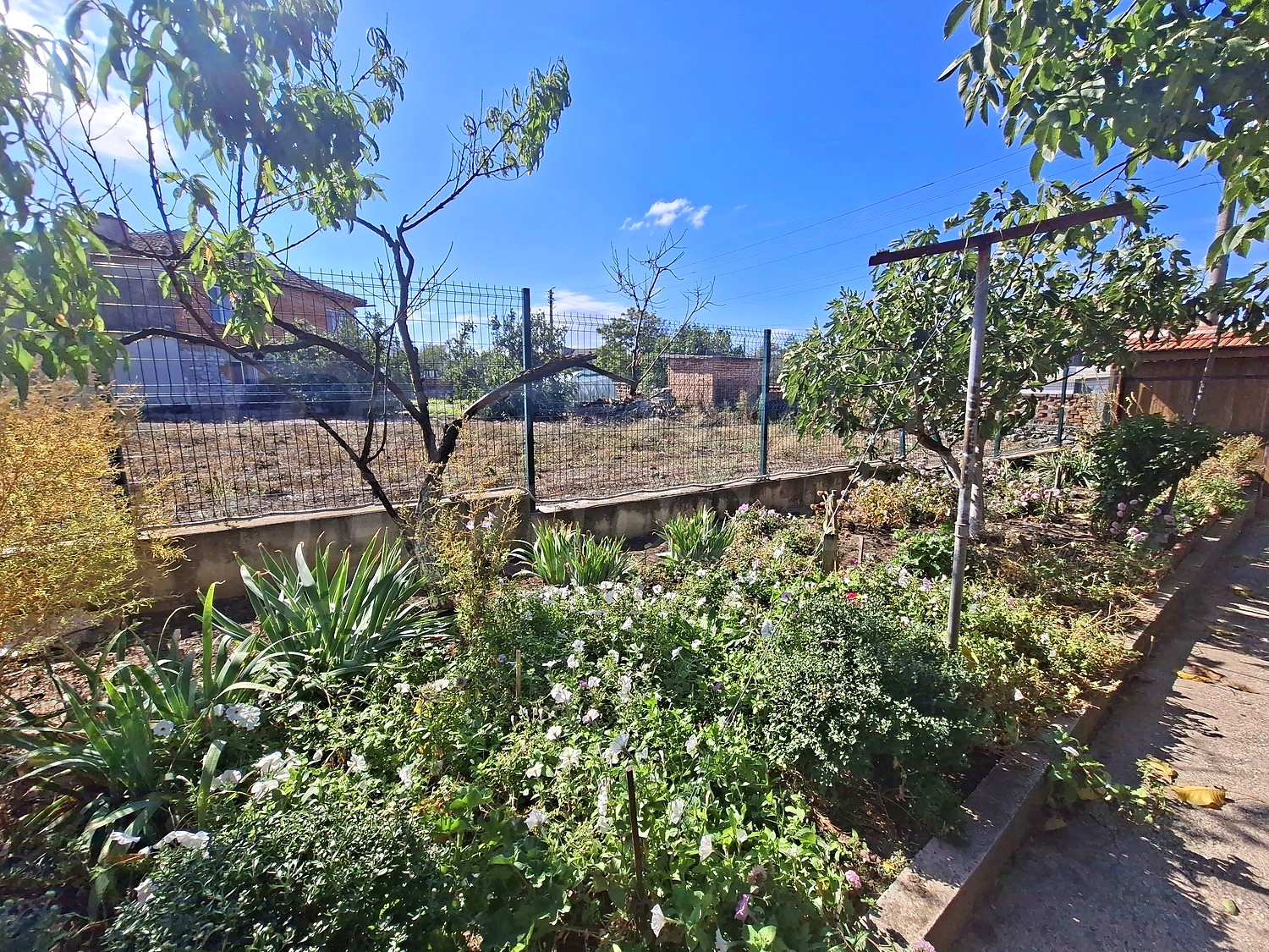 outside, garden