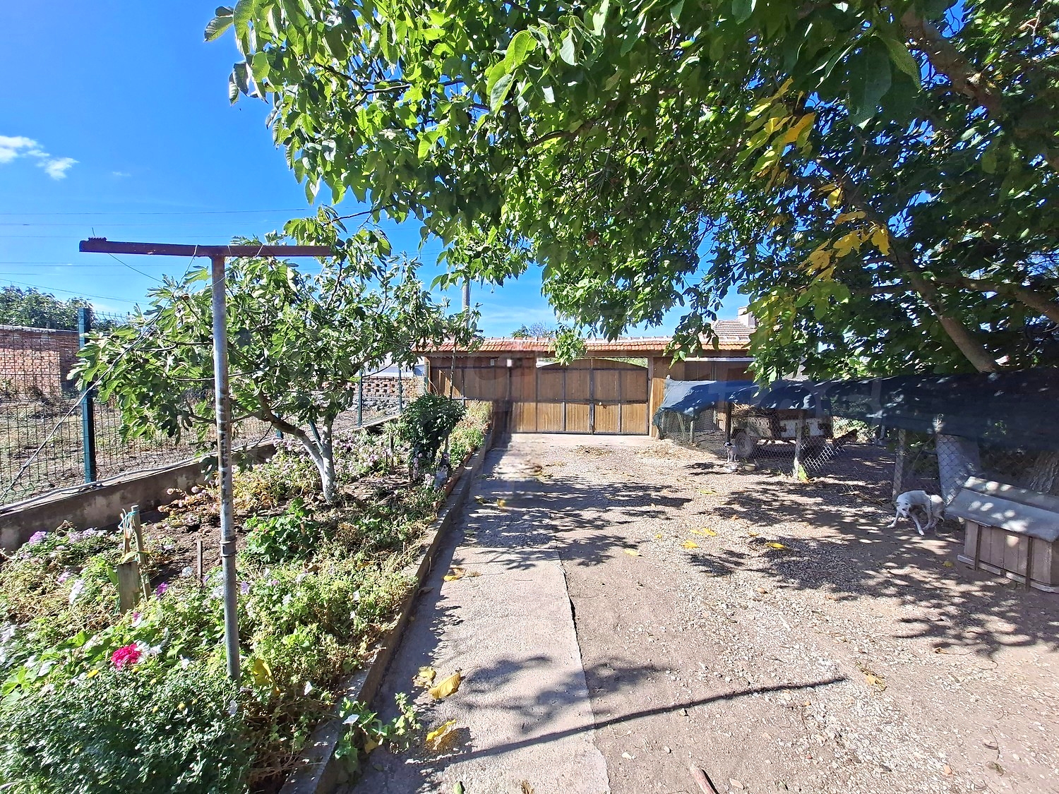 outside, garden