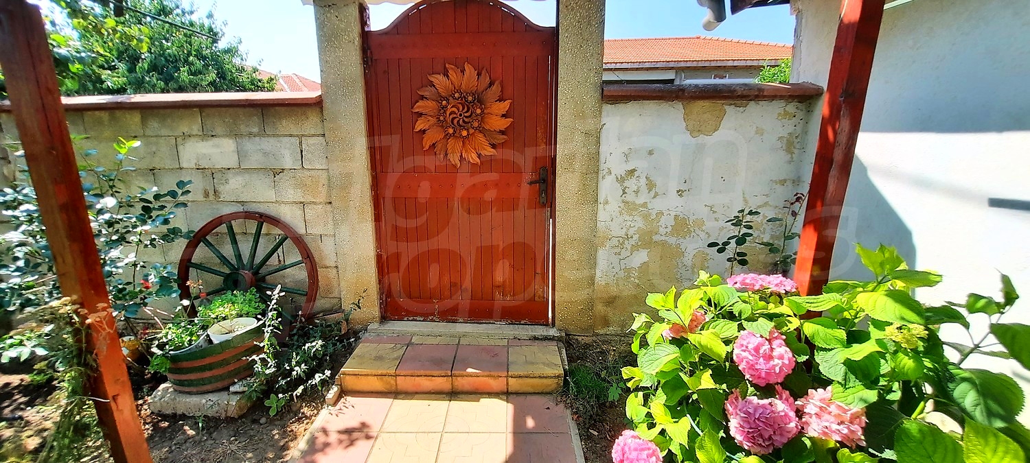 outside, garden