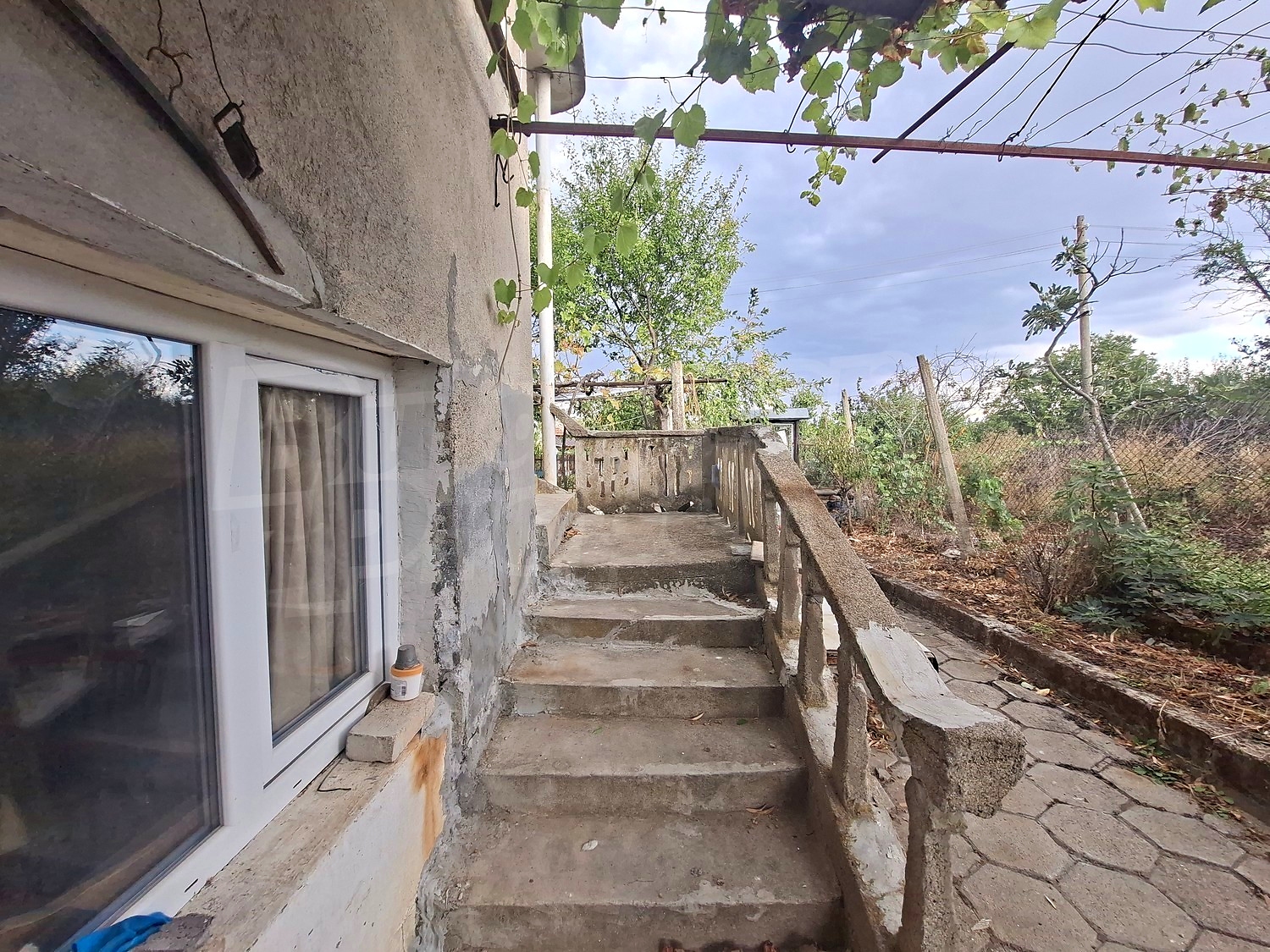 outside, garden