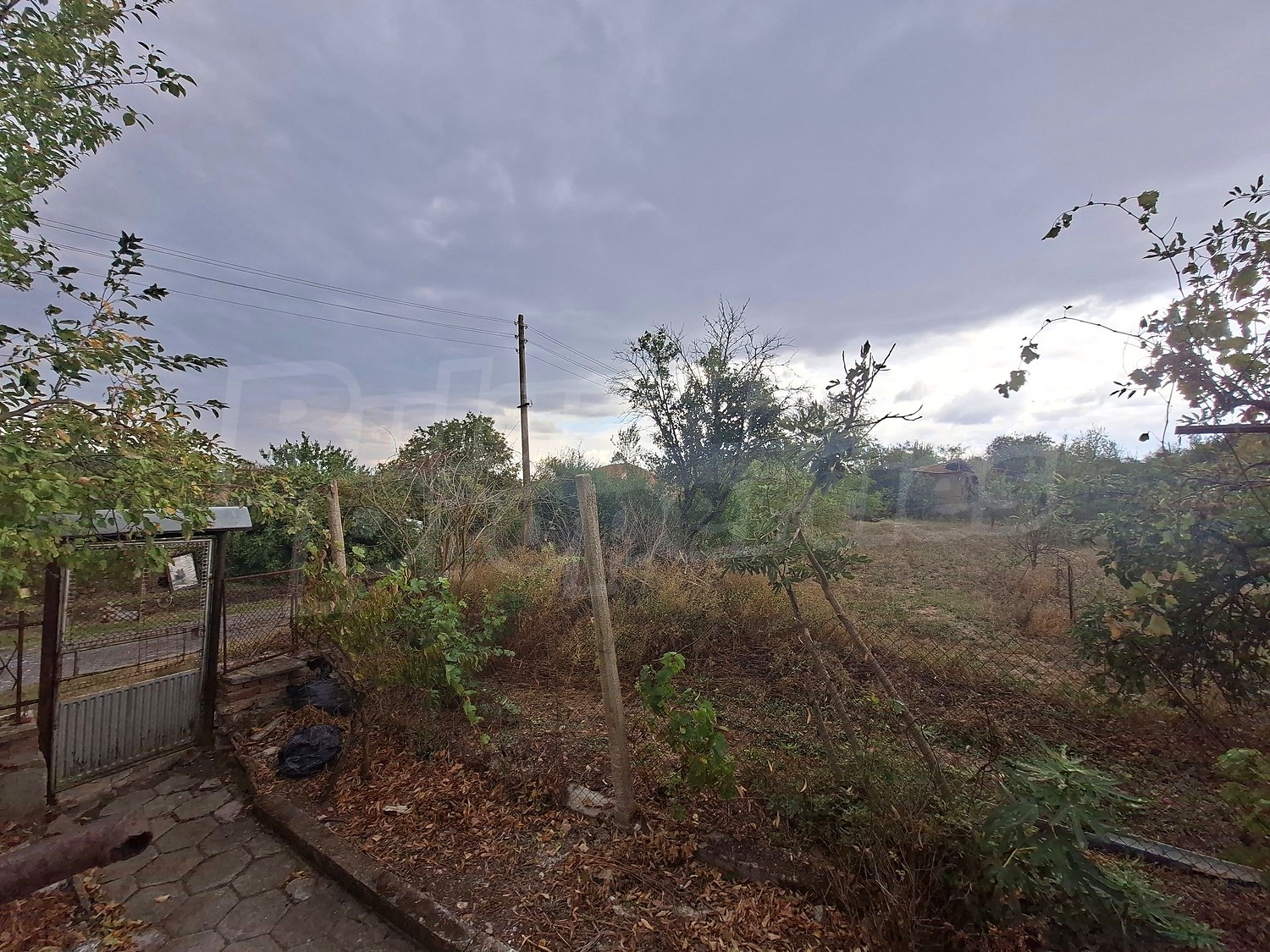 outside, garden, green area