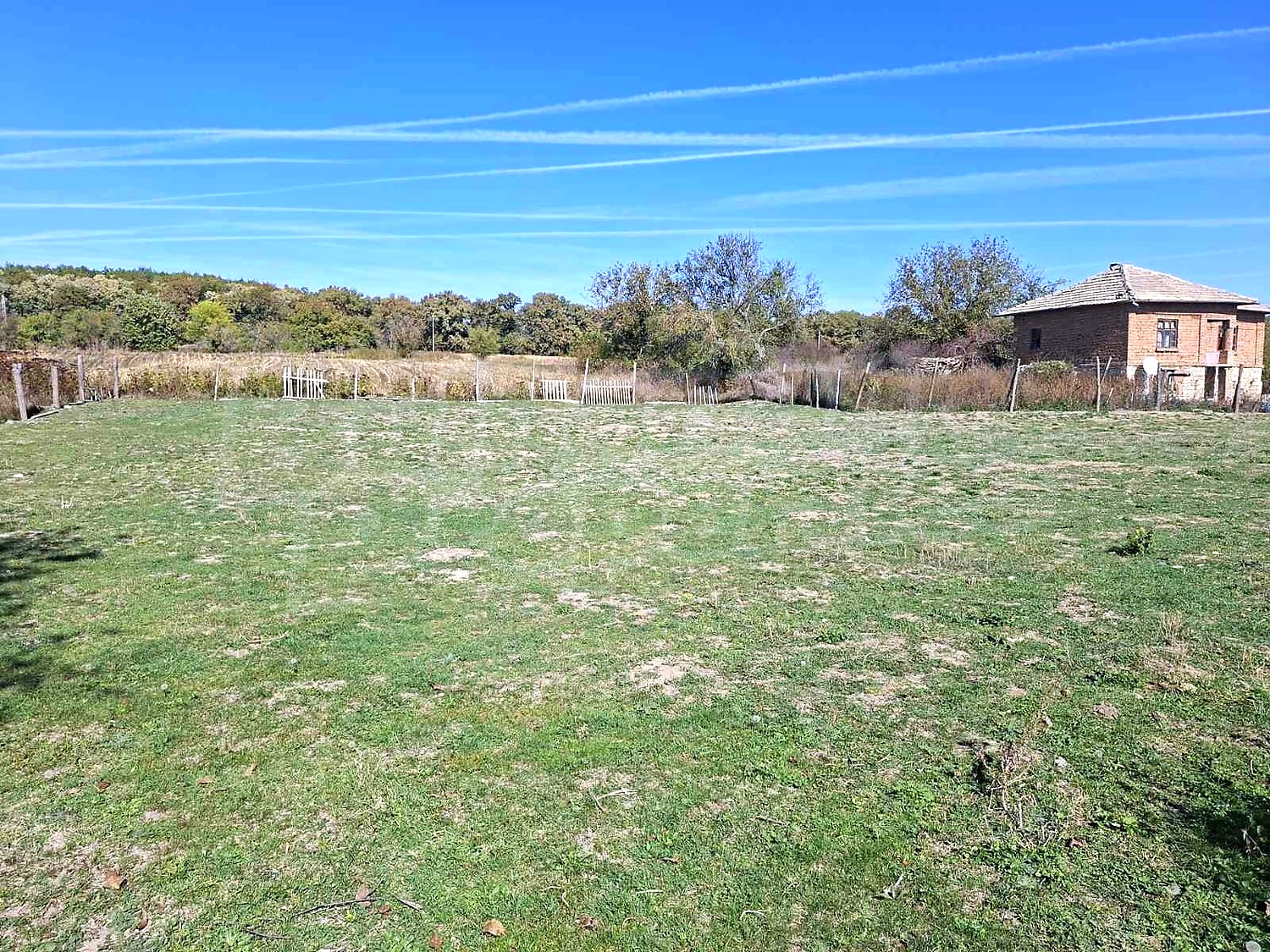 outside, garden, green area