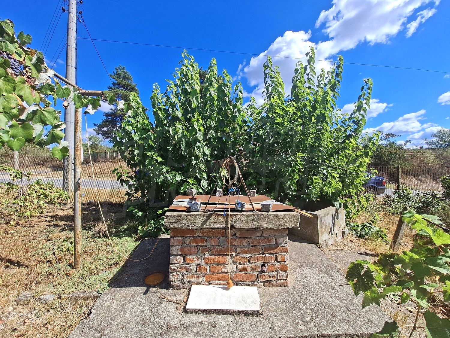outside, garden