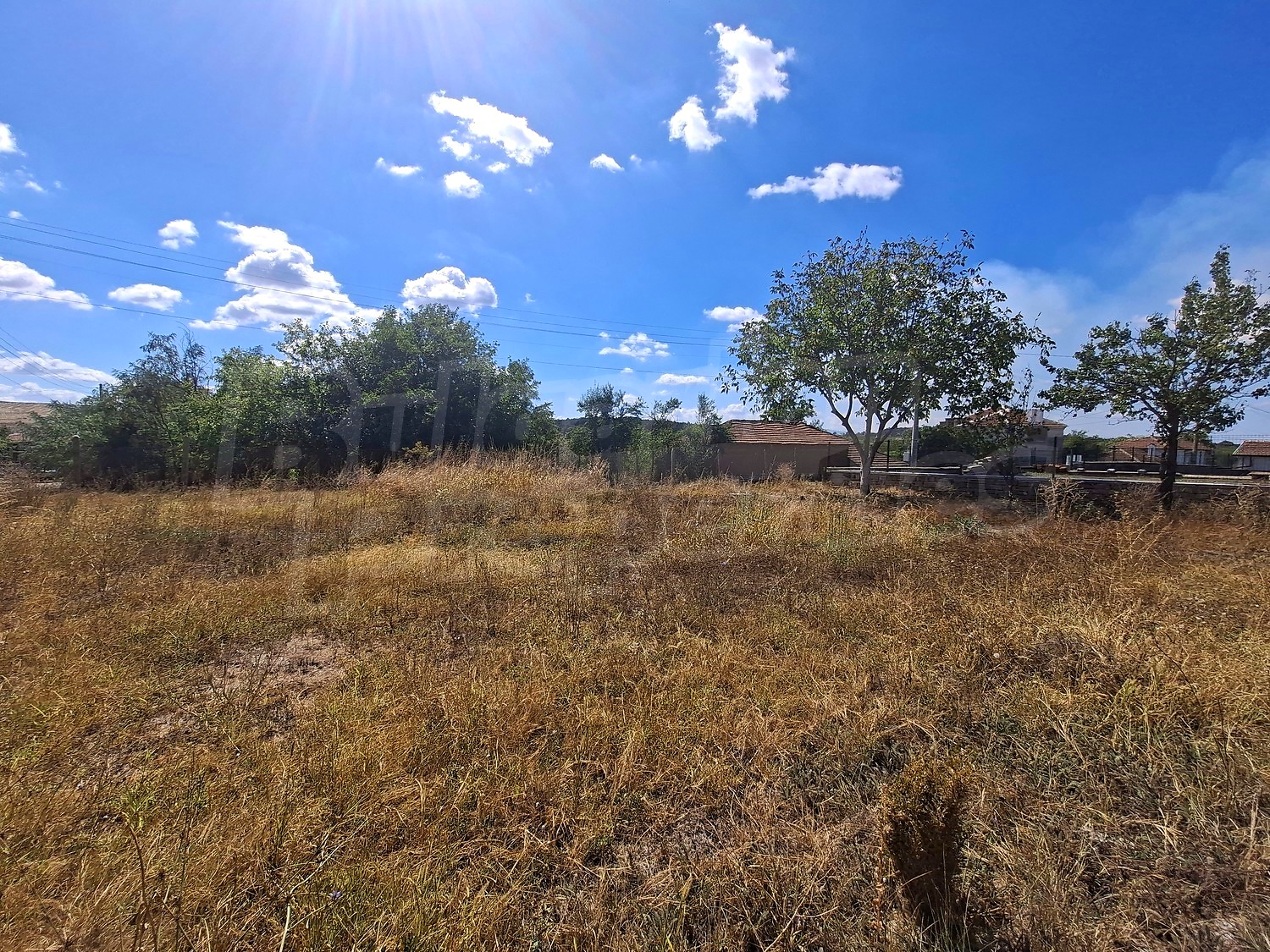 outside, green area
