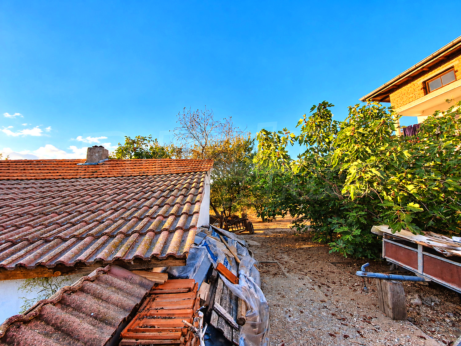 outside, facade, garden