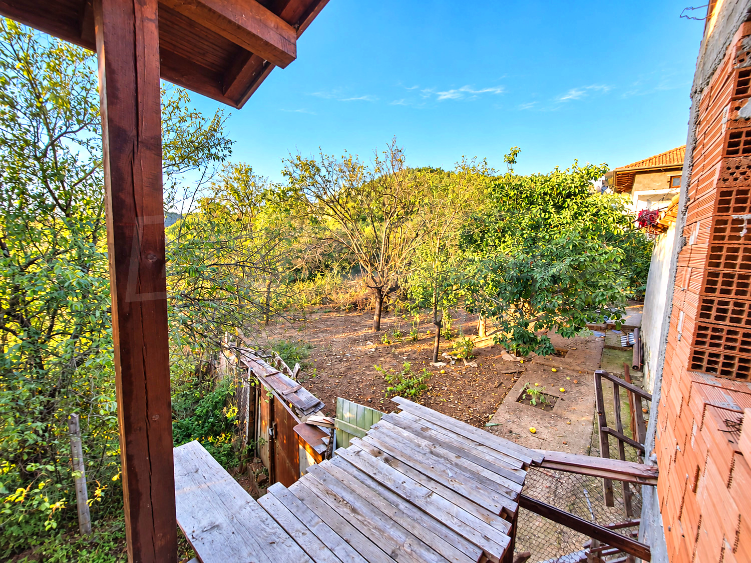 outside, garden, green area