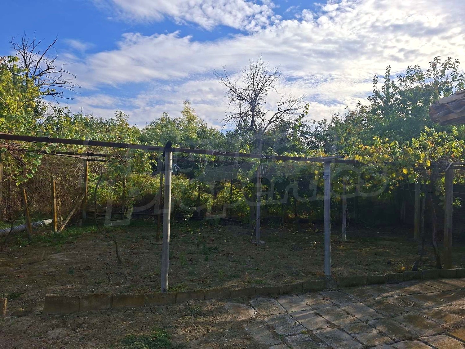 outside, garden, green area