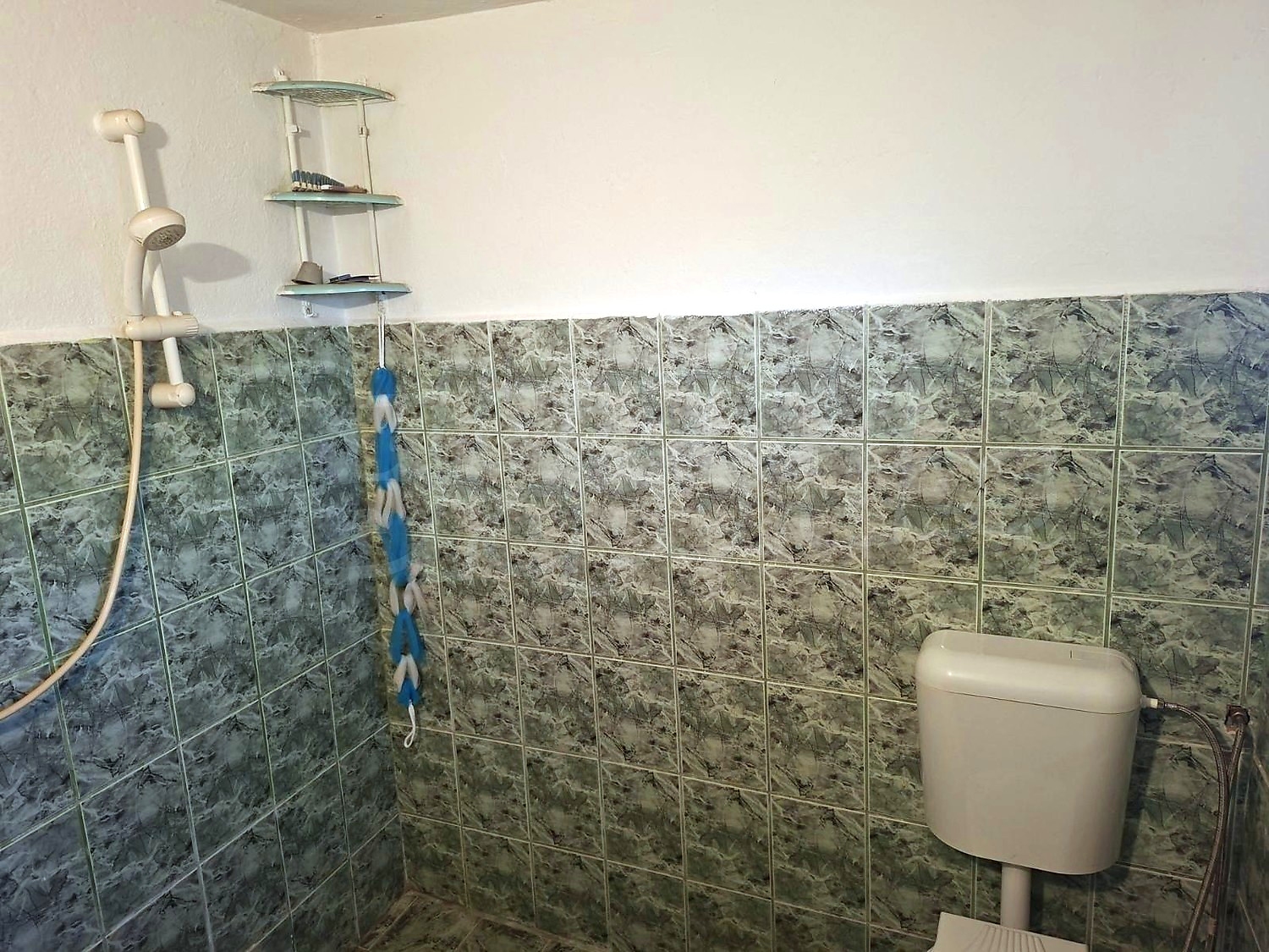 bathroom, toilet
