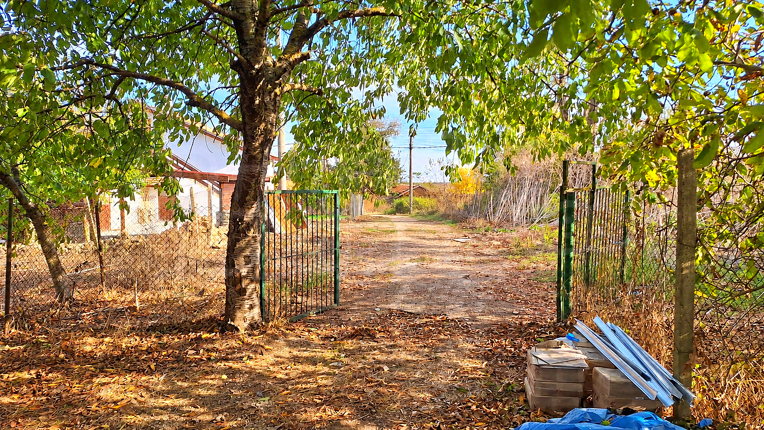 outside, garden