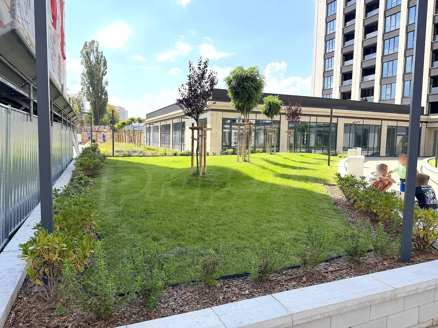 outside, garden, green area