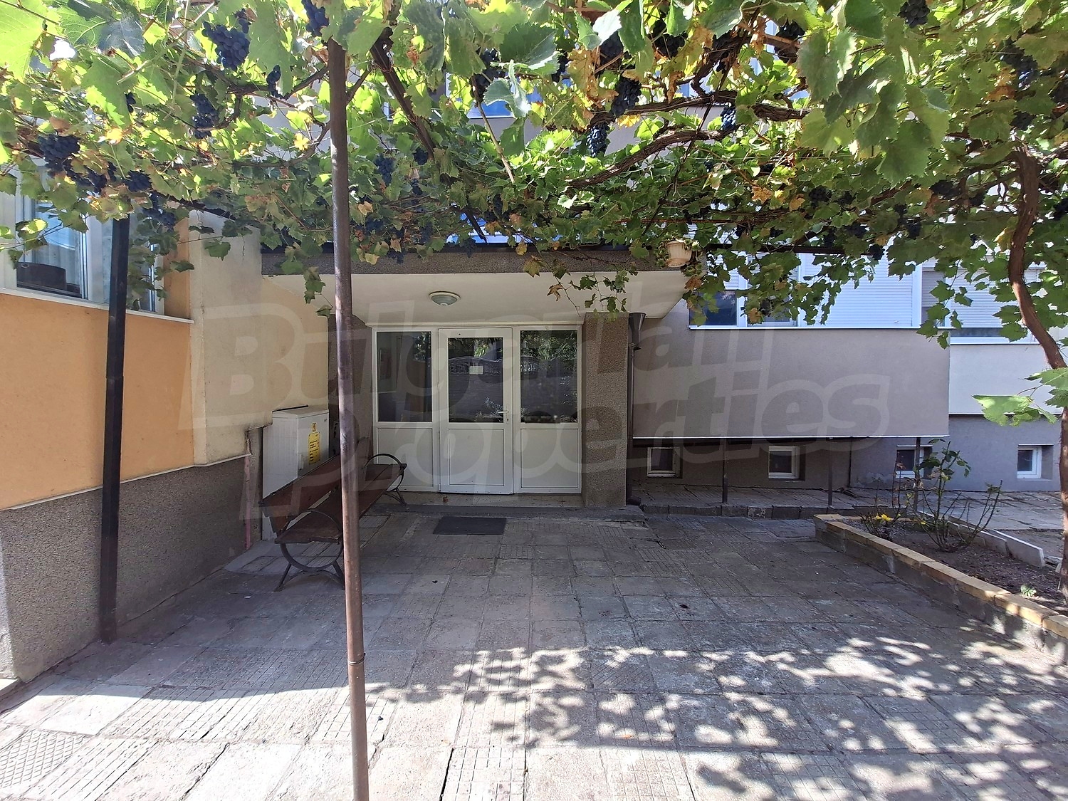outside, garden