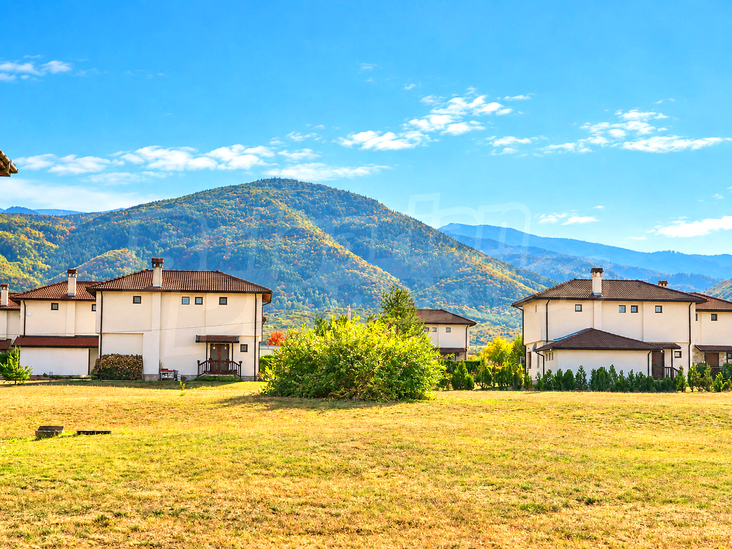 outside, mountain, garden