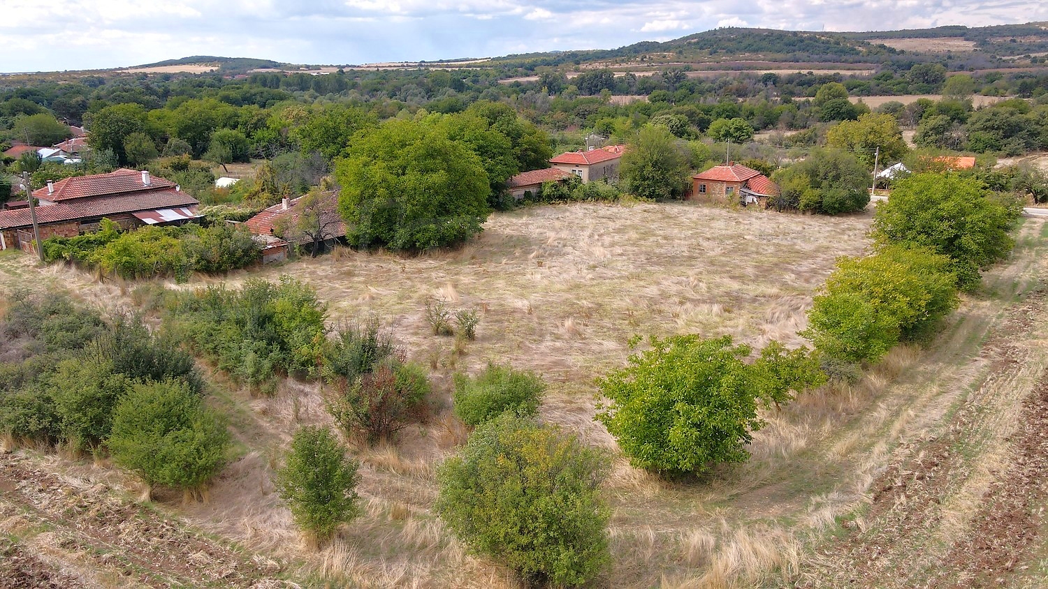 outside, green area