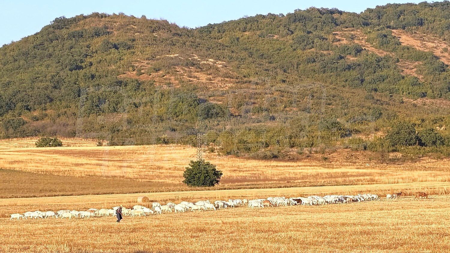 outside, mountain, green area