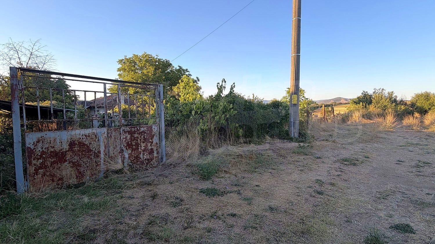 outside, garden