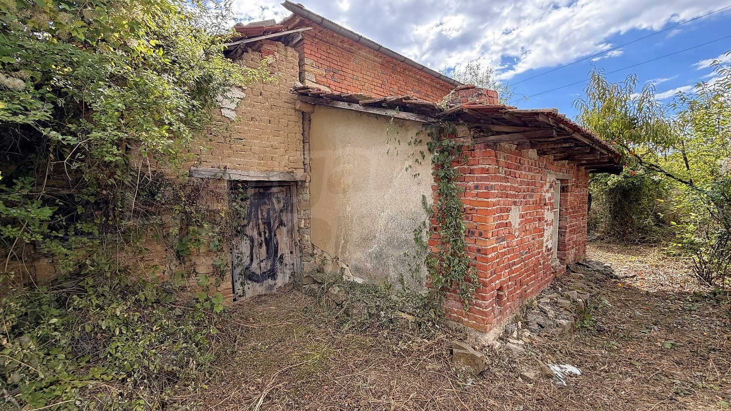 facade, outside, garden