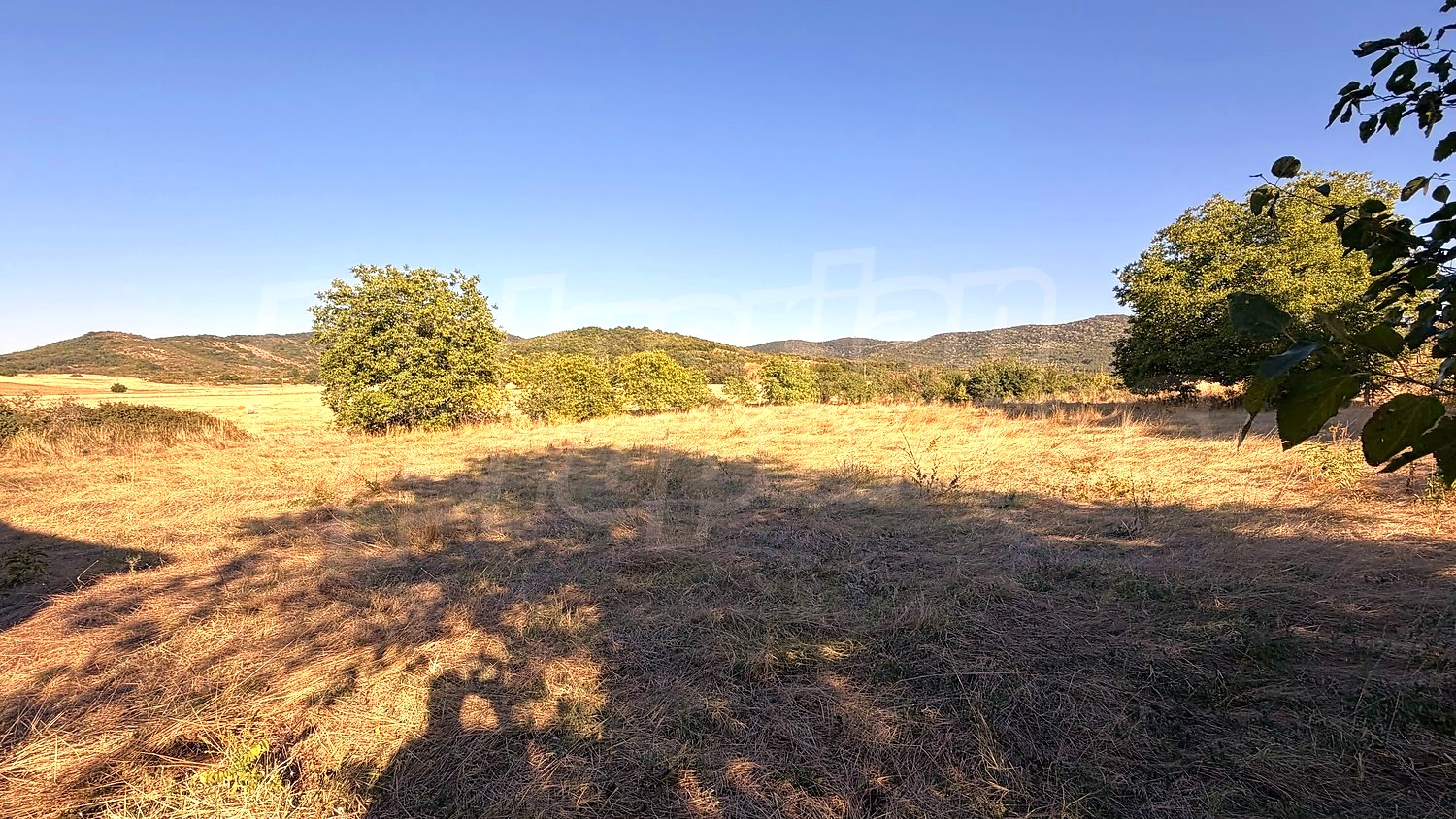 outside, mountain, green area