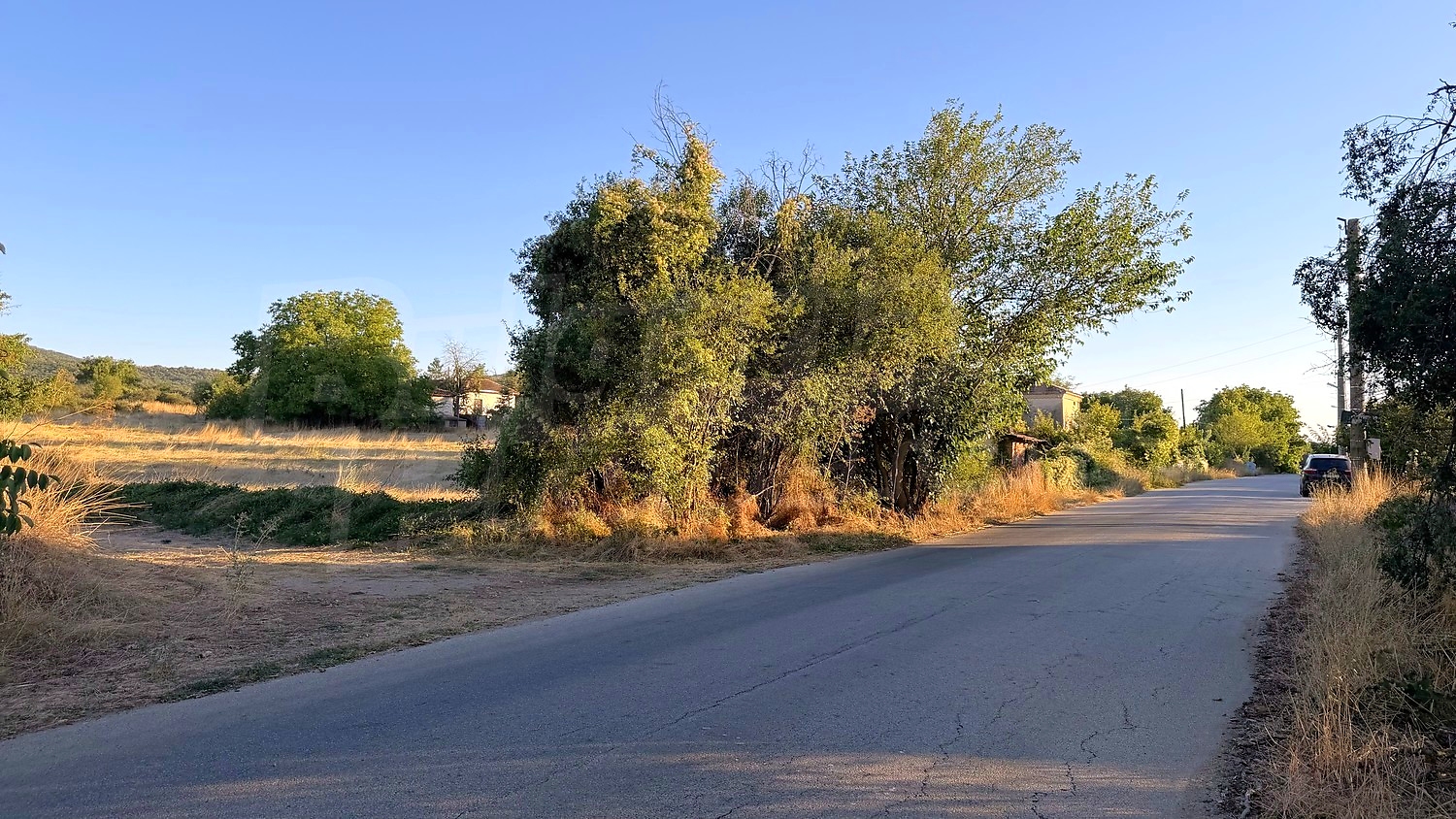 outside, green area