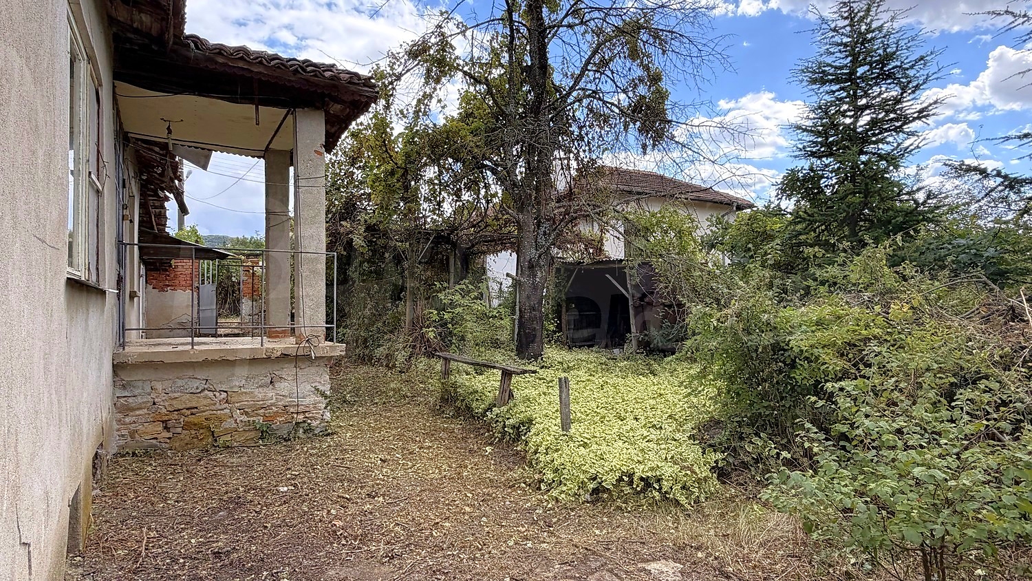 outside, garden