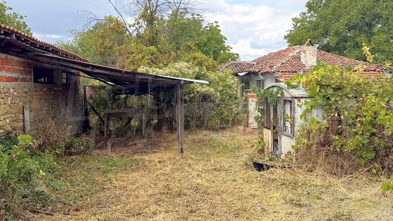 outside, garden
