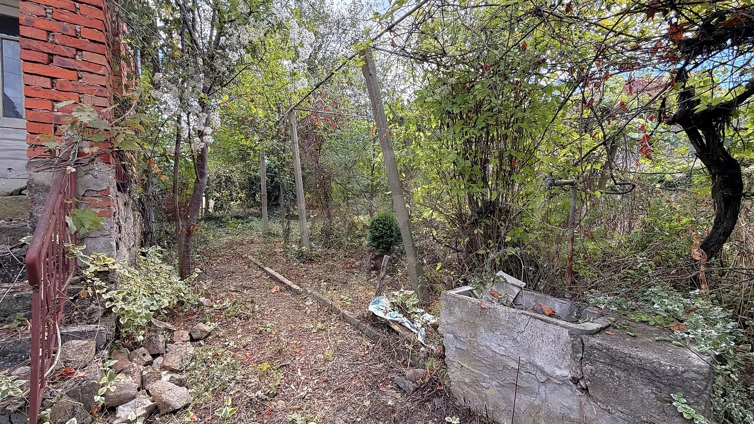 outside, garden, green area