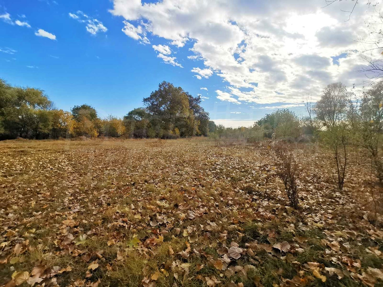 outside, green area