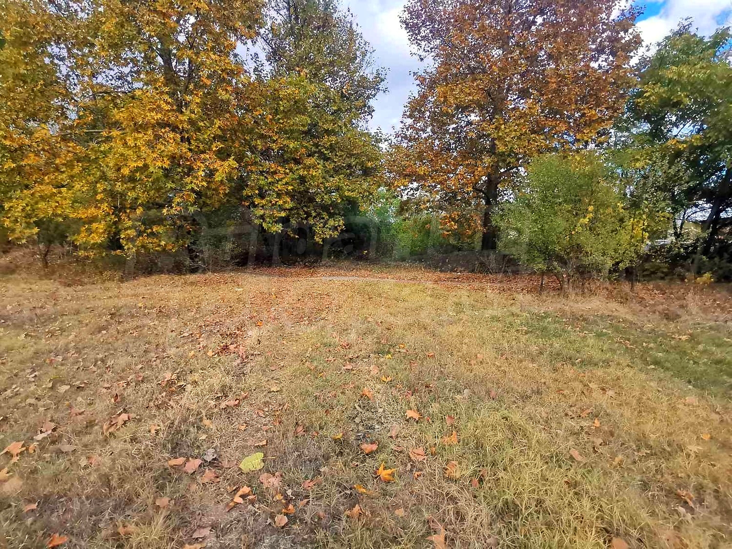 outside, green area